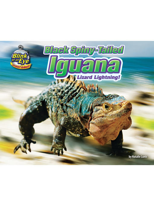 Title details for Black Spiny-Tailed Iguana by Natalie Lunis - Available